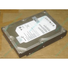 HP 250G 7.2k 432337-001/ 399699-001 / 397377-004 SATA HDD (Долгопрудный)