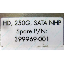 HP 250G 7.2k 432337-001/ 399699-001 / 397377-004 SATA HDD (Долгопрудный)