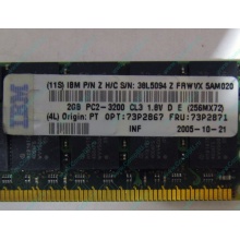IBM 73P2871 73P2867 2Gb (2048Mb) DDR2 ECC Reg memory (Долгопрудный)