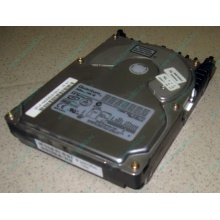 Жесткий диск 18.4Gb Quantum Atlas 10K III U160 SCSI (Долгопрудный)