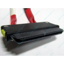 SATA-кабель для корзины HDD HP 451782-001 459190-001 для HP ML310 G5 (Долгопрудный)