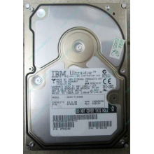 Жесткий диск 18.2Gb IBM Ultrastar DDYS-T18350 Ultra3 SCSI (Долгопрудный)