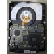 Жесткий диск 18.2Gb IBM Ultrastar DDYS-T18350 Ultra3 SCSI (Долгопрудный)