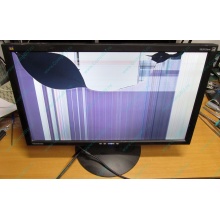 ViewSonic VA2413WM-2 разбитая матрица (Долгопрудный)