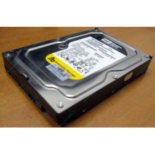 Жесткий диск 160Gb WD WD1602ABKS SATA (Долгопрудный)