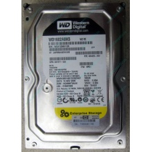 Жесткий диск 160Gb WD WD1602ABKS SATA (Долгопрудный)