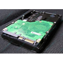 Жесткий диск 600Gb 15k Dell 9FN066-008 6G SAS ( Seagate Cheetach ST3600057SS 15K.7) - Долгопрудный