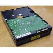 Б/У жёсткий диск 400Gb WD WD4000YR Caviar RE2 7200 rpm SATA  (Долгопрудный)