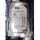 Б/У жёсткий диск Dell SATA (WD WD1601ABYS 7200 rpm) 3.5" HDD (Долгопрудный)