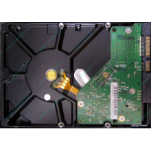 Б/У жёсткий диск 1Tb Western Digital WD10EVVS Green (WD AV-GP 1000 GB) 5400 rpm SATA (Долгопрудный)