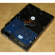 Электроника HDD 500Gb Hitachi HDS721050DLE630 (Долгопрудный)