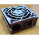 HP 224977 (224978-001) for Proliant ML370 G2/G3/G4 (Долгопрудный).