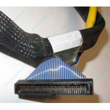 Кабель SCSI HP 166298-037 для HP ML370 G4 (Долгопрудный)