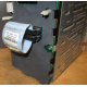 HP 365664-001 кабель SCSI для корзины 373108-001 / 359719-001 HP ML370G4 (Долгопрудный)