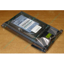 Жёсткий диск 146.8Gb HP 365695-008 404708-001 BD14689BB9 256716-B22 MAW3147NC 10000 rpm Ultra320 Wide SCSI купить в Долгопрудном, цена (Долгопрудный).