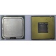 Процессор Intel Celeron D 336 (2.8GHz /256kb /533MHz) SL98W s.775 (Долгопрудный)