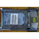 HDD 146.8Gb HP 360205-022 404708-001 404670-002 (Долгопрудный)