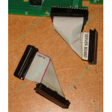 6017B0045701 Шлейф 24 pin для Intel C74974-401 T0043401-B01 корпуса SR2400 (Долгопрудный)