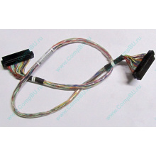6017B0045301 в Долгопрудном, 68pin SCSI кабель 26.5" / 57cm для корзины HDD Intel SR2400 (Долгопрудный)