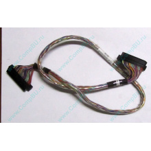 6017B0045301 в Долгопрудном, 68pin SCSI кабель 26.5" / 57cm для корзины HDD Intel SR2400 (Долгопрудный)