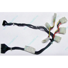 59P4789 FRU 59P4792 в Долгопрудном, кабель IBM 59P4789 FRU 59P4792 для серверов X225 (Долгопрудный)