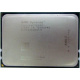 AMD Opteron 6128 OS6128WKT8EGO (Долгопрудный)