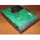 Жесткий диск 300Gb 15k Seagate Cheetach ST3300656SS 15K.6 Dell 9CH066-050 6G SAS (Долгопрудный)